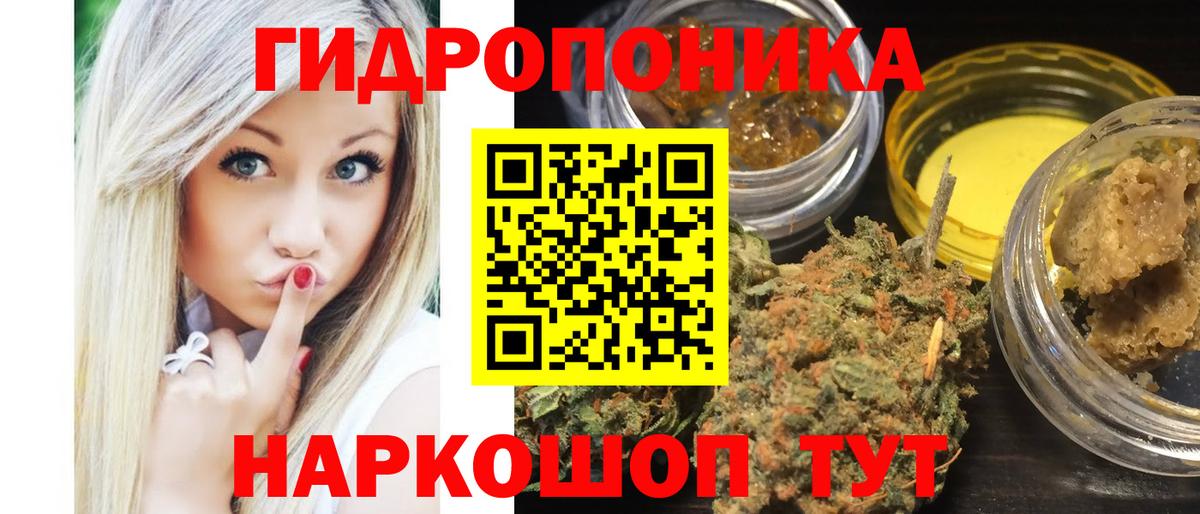 Каннабис Ganja Майский